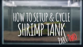 How To Setup amp Cycle Shrimp Tank Part 2 [upl. by Hak]