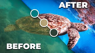 FIX THIS 3 EASY Ways to Color Correct UNDERWATER Video in Premiere Pro [upl. by Dercy33]