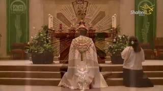 Eucharistic Adoration St Stephen Catholic Church [upl. by Oivlis342]