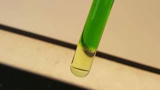 Isolation of chlorophyll and carotenoid pigments from spinach [upl. by Ellitnahc271]