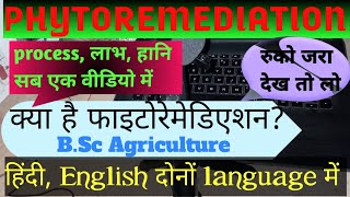 what is phytoremediation PHYTOREMEDIATION PHYTOREMEDIATION in hindi phytoremediation kya h [upl. by Aliekat]