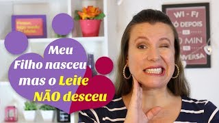 Meu filho já nasceu e meu leite não desceu o que fazer  Amamentação [upl. by Nnahtebazile136]