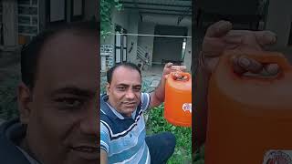 Ye Bhi Hai Sabjiyo Ka Achook Upay minivlogs dailyminivlogs villagelife palfamilyvlogs [upl. by Johna]