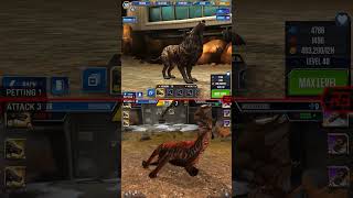 HYAENODON ALL EVOLUTION amp HYAENODON ALL ANIMATION  Jurassic World The Game [upl. by Supen]