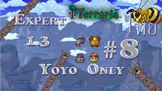 Terraria 13 Expert 8 Yoyo Only พี่ฟาร์มมาเยอะวันนี้พี่ขอ [upl. by Huggins]