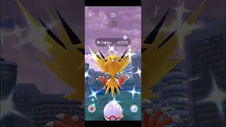 Finally Shiny Zapdos  Pokemon go Raids June  Pokemon go  pokemongo raid shorts [upl. by Ingeborg]