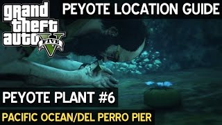 Peyote Location 6 • Pacific OceanDel Perro Pier • GTA 5 PC [upl. by Etnoval466]