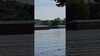 Will these barges collide summer river boat [upl. by Chisholm]