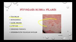 Pityriasis Rosea amp Pityriasis Rubra Pilaris amp Parapsöriazis [upl. by Melamie]