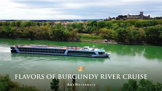 AmaWaterways’ Flavors of Burgundy River Cruise Itinerary [upl. by Nonnag]