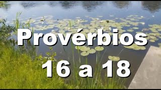 BÍBLIA  PROVERBIOS 16 A 18 [upl. by Ydderf128]