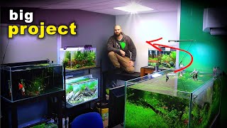 Epic New Project amp New Aquariums Update  MD Fish Tanks [upl. by Sueahccaz]