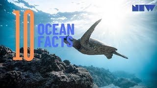 10 Mind Blowing Facts About the Ocean You Need to Know [upl. by Yenduhc658]