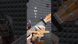 Perfect Ukulele Tutorial shorts ukulele [upl. by Bresee]