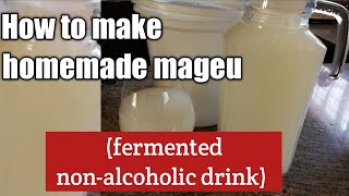 How I make homemade mageu amahewu  mahewu mealiemeal sugar and water drink [upl. by Orose]