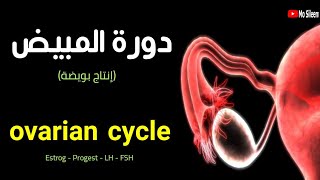 أسهل شرح لفهم الدورة الشهرية في المبايض ❤️🩸👌 Ovarian cycle ❤️ [upl. by Htebaras]