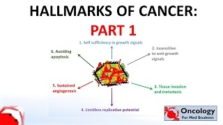 4 Hallmarks of Cancer part 1 [upl. by Aicenet]