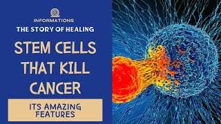 Stem cells that kill cancer What is that fantastic feature Perforin Granzyme [upl. by Llenyl]