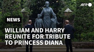 William and Harry reunite for Diana statue tribute  AFP [upl. by Cahan524]