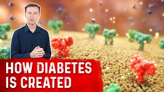 The Role of Insulin in Diabetes Animation [upl. by Mildrid277]