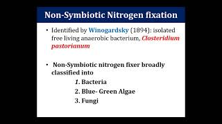 2 Biological Nitrogen Fixation Non Symbiotic B Sc 2 Sem 4 [upl. by Anirok]