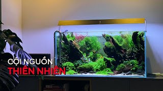 HỒ THỦY SINH W9Ocm BỐ CỤC LÕM  CỘI NGUỒN THIÊN NHIÊN [upl. by Jola]