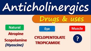 Anticholinergics  Drugs and uses [upl. by Hirschfeld]