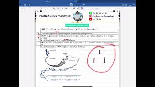 Q10 concours de médecine 2023 SVT [upl. by Chryste]