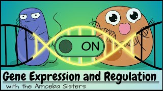 Gene Expression and Regulation [upl. by Ohce88]