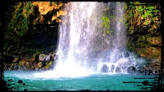 Rincon de la Vieja National Park Costa Rica 🇨🇷 WILDLIFE at Beautiful Catarata Cangraja [upl. by Jaimie142]