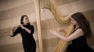 Bernard Andrès  Narthex pour flûte et harpe [upl. by Nilrac]