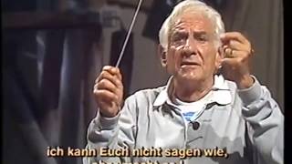 Triangle Lessons with Leonard Bernstein [upl. by Eshelman452]