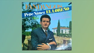 PEPE NUÑEZ el loreño fandangos en una huerta de lora 1968 Single [upl. by Mesics178]