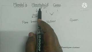 Mendels Monohybrid cross with example punett squarechecker boardclass 10 biologyHeredity [upl. by Eitsirc]