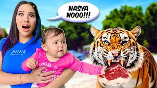 NASYA POR PRIMERA VEZ EN UN ZOOLÓGICO Alimento animales salvajes 😰 [upl. by Male390]