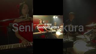 Senbonzakura Piano Vocal amp Drums cover  Sorairo Tulip shorts [upl. by Anayik]