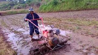 Diesel Power Weeder for Indian Market Paddy Land Power WeederTiller [upl. by Humfried]