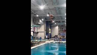 2024 Mansfield Dive Summer Invitational Boys 1618 AAU DIVING [upl. by Faustena770]