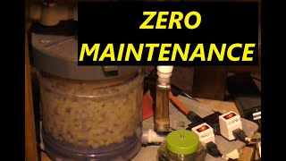 Zero Maintenance High Biological Capacity DIY Cannister Filter K1 [upl. by Clarine]