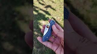 Spyderco Dragonfly VToku C28FPBLE2 [upl. by Rosana]