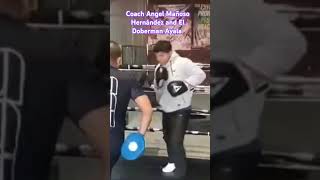 Se acerca la pelea profesional del Doberman Ayala Coach Mañoso en las manoplas boxeo boxing [upl. by Erika301]