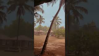 Heavy rain near kumuta beach karnataka  seventh heaven resort rainy season [upl. by Ynobe]