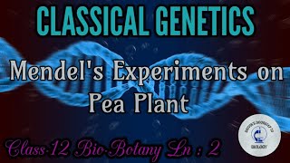 Mendels Experiments on Pea Plants in Tamil  Classical genetics [upl. by Llarret135]