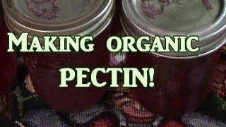 Making Organic Pectin [upl. by Sile]