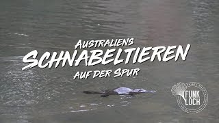 Australiens Schnabeltieren auf der Spur  Funkloch [upl. by Mcmillan]