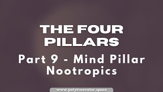 Four Pillars Part 9  Mind Pillar Nootropics PIOS [upl. by Saunderson]