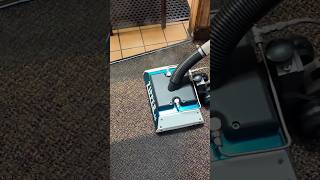 Cutting Grease from Carpet in ONE Pass carpetcleaning cleaningexperts ZipperWand SaigersCodeRed [upl. by Adalai]