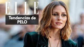 El corte de pelo media melena es LA tendencia  Elle España [upl. by Flann]