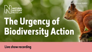 The Urgency of Biodiversity Action  Our Broken Planet [upl. by Hofstetter]