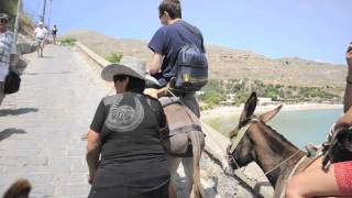 Wild Donkeys sighted in the deep Great Sand Sea Desert Egypt [upl. by Ailey438]